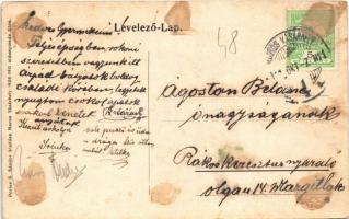 1911 Marosvásárhely, Targu Mures; Fő tér, Petrás Géza, Szalmásy Gyula, Hary Géza, Schwartz János üzl...