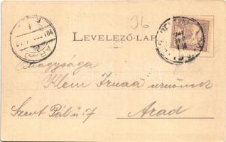 1901 Kolozsvár, Cluj; Egyetemi épületek csoportja. Dunky Fivérek cs. és kir. udvari fényképészek / u...