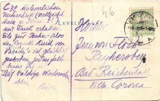 1907 Szigetmonostor, kastély, villa (szakadás / tear)