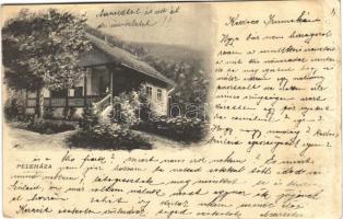 1905 Lillafüred (Miskolc), Peleház, Herman Ottó villa, nyaraló (r)