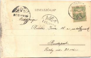 1905 Lillafüred (Miskolc), Peleház, Herman Ottó villa, nyaraló (r)