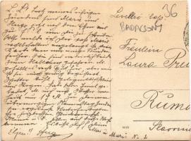 Badacsony, nyaraló, villa, szőlő. photo (vágott / cut)