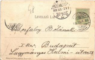 1906 Kaposvár, Ezredév utca. Fenyvesi Béla kiadása (EK)