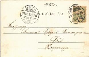 1904 Nyíregyháza, Piac tér árusokkal, Városháza, Nagy Gyula és Paál Ferenc üzlete, Piringer János kö...