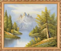 Nagy Gyula jelzéssel: Hegyvidéki táj. Olaj, vászon, dekoratív fa keretben, 50×60 cm
