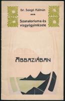 cca 1910 Dr. Szegő Kálmán Szanatóriuma és Vízgyógyintézete Abbáziában, tájékoztató prospektus, 16p