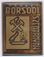 ~1970. "Borsodi Szénbányák" Br lemezplakett (30x40mm) T:1-