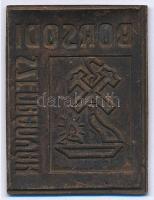 ~1970. "Borsodi Szénbányák" Br lemezplakett (30x40mm) T:1-