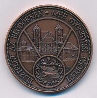 Szabó Imrefia Béla / Szabó Géza 2010. "Richter Gedeon a magyar gyógyszeripar megteremtője / Tis...