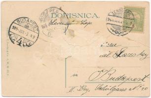 1905 Senj, Zengg; Parobrod Starcevic, Gradsko Kupaliste Marija "Art" / kikötő, Starcevic g...