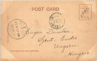 1906 Washington, State, War and Navy building, Secretary of War Taft. Art Nouveau, floral, TCV card