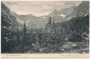 Tátra, Magas-Tátra, Vysoké Tatry; Menguszfalvi-völgy. Franz Pietschmann No. 1860. / Blick ins Mengsdorfer Tal / valley (fa)
