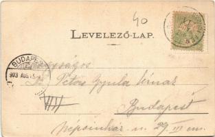 1903 Feketehegyfürdő, Feketehegy, Cernohorské kúpele (Merény, Vondrisel, Nálepkovo); sétány, kuglizó...