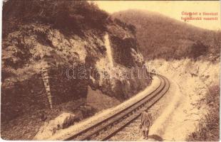 Tiszolc, Tisovec; Tiszolc-völgyi fogaskerekű vasút Breznóbánya és Tiszolc között. W. L. (?) 156. Kreisler József kiadása / standard gauge cogwheel railway line between Brezno nad Hronom and Tisovec (vágott / cut)