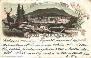 1898 (Vorläufer) Maria Schutz (Schottwien), Hotel Bellevue mit Dependancen u. Villen, Semmering. Karl Schwidernoch Art Nouveau, floral, litho (EK)