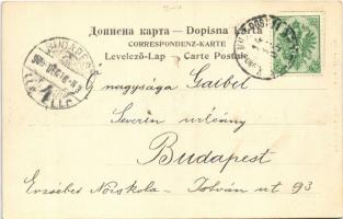 1905 Bileca, Bilek; Strasse / street + "K.und K. Milit. Post"