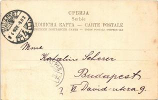 1904 Belgrade, Beograd; Hochschule / school, montage with ladies  (Rb)