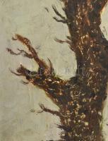 Gádor Emil (1911-1998): Öreg fa, olaj, farost, jelzett a hátoldalán, fa keretben, 60x20cm