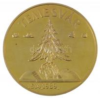 1989. "Temesvár 1514,1989 / Ne hagyd el Erdélyt, Erdélyt Istenem" aranyozott fém emlékérem...