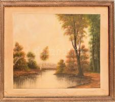 Olvashatatlan jelzéssel: Vízparti táj (Zala...). Akvarell, papír. 34×49 cm. Üvegezett fa keretben.