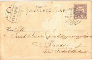 1900 Blaha Lujza és Sárika. Strelisky cs. és kir. udvari fényképész (Rb)