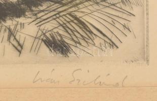 Iván Szilárd (1912-1988): Balaton, rézkarc, papír, jelzett, 30×39 cm. Üvegezett fa keretben