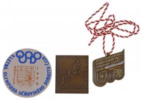 3xklf külföldi díjérem és -plakett, közte Nemzetközi Vasutas Sport Szövetség (USIC) Br díjplakett (55x64mm) T:1-,2 3xdiff foreign award medal and plaque, within International Railway Sports Federation (USIC) Br award plaque (55x64mm) C:AU,XF
