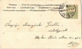 1905 Lady art postcard, romantic couple. Art Nouveau, floral, litho (vágott / cut)