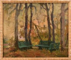 Jelzés nélkül: Padok a parkban. Olaj, karton. Sérült fa keretben. 35×44 cm
