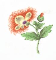 Herendi virág mintás hat darab lapos tányér, mindegyik más fajta virággal. Kézzel festett, jelzett, ...