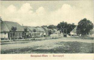 Nagyborosnyó, Nagyborozsnyó, Borosneu Mare; tér. Foto Adler / square