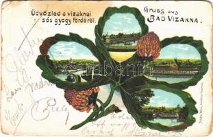 1906 Vízakna, Salzburg, Ocna Sibiului; sósgyógyfürdő. Szecessziós litho montázs / spa. Art Nouveau, litho montage  (fa)