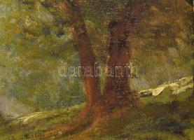 Szepesi Kuszka Jenő (1885-1948): Tátrai rész. Olaj, vászon, jelezve jobbra lent. Hátoldalán Magyar M...