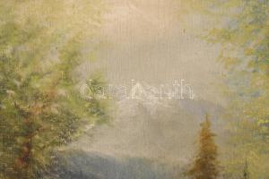 Szepesi Kuszka Jenő (1885-1948): Tátrai rész. Olaj, vászon, jelezve jobbra lent. Hátoldalán Magyar M...