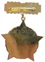 ~1980. "A Vízgazdálkodás Kiváló Dolgozója" aranyozott, műgyantás fém kitüntetés T:1