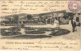 1906 Kolozs, Kolozssósfürdő, Kolozsfürdő, Cojocna; park. TCV card (fa)
