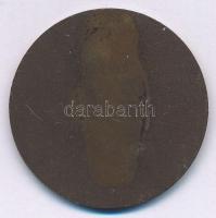 1975. "Munkásőrök emlékversenye - 30 - 75.IV.4." Br emlékérem (40mm) T:2