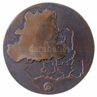 Lapis András (1942- ) 1984. "A járásban végzett ifjúságmozgalmi munkáért" Br emlékérem ere...