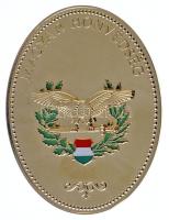 ~2000. Magyar Honvédség aranyozott fém emlékplakett díszdobozban (50x65mm) T:1- (eredetileg PP)