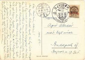 1941 Délvidék visszatér! / Hungarian irredenta propaganda s: Németh N. + "ÚJVIDÉK VISSZATÉRT&qu...