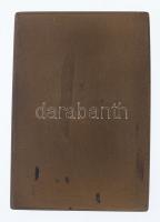 ~1960. "Szakszervezetek Országos Alapfokú Tornász Csapatbajnoksága - Vörös Meteor S.E. I."...