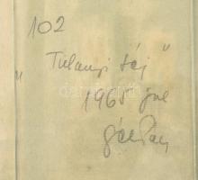 Gál jelzéssel: Tihanyi tály. Pasztell, akvarell, papír. Jelzett. üvegezett keretben. 35x32 cm