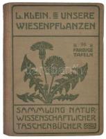 Ludwig Klein: Unsere Wiesenpflanzen. Sammlung naturwissenschaftlichter Taschenbücher VI. Heidelberg,(1924),Carl Winter. Második kiadás. Német nyelven. Szövegközti és egészoldalas képakkal illusztrált. Kiadói egészvászon-kötésben.