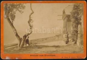 cca 1885 Ansicht vom Grundlsee, vintage fotó kartonon, M. Moser, Aussee műterméből, kissé kopott, hátoldala firkált, 10x16 cm