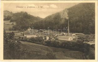 Grafenau i. b. W., Elsental, Fabrik / factory