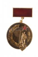 Szovjetunió ~1980. Háborús Veteránok Szovjet Bizottságának Kitüntetése nem saját tokban T:1- Soviet Union ~1980. Badge of Honor of the Soviet Committee of War Veterans in not original case C:AU