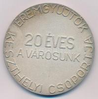 1974. "Keszthely / Éremgyűjtők Keszthelyi Csoportja - 20 éves a városunk" fém emlékérem (7...