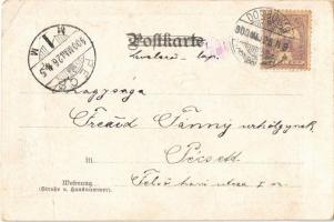 1900 Pálmay Ilka. Serie E. II. No. 344. Art Nouveau, floral (fa)