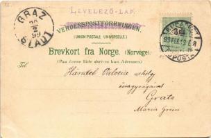 1899 Norwegen, Partie aus dem Naeroyfjord. Kunstanstalt Paul Finkenrath 687. litho (EK)