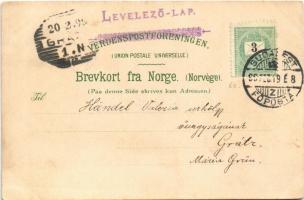 1899 Norwegen, Partie aus dem Hardangerfjord. Kunstanstalt Paul Finkenrath 681. litho (EK)